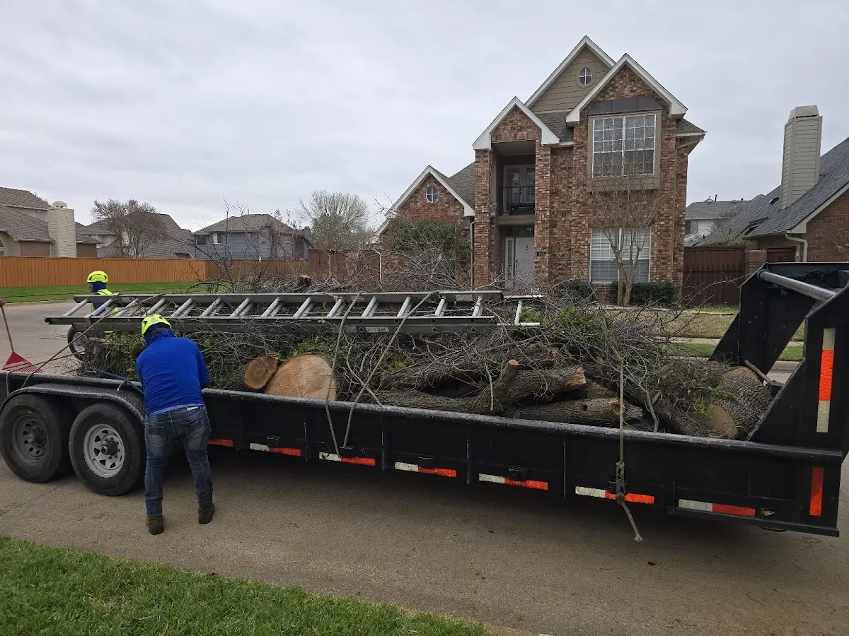Expert Crown Reduction with proper safety equipment in Blue Mound